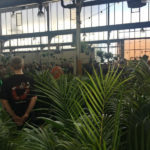 Rumble in the Jungle-Indoor Plant Sale-